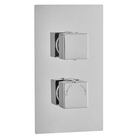 Square Concealed Thermostatic 2 Handle 1 Way Shower Valve - TIS0021