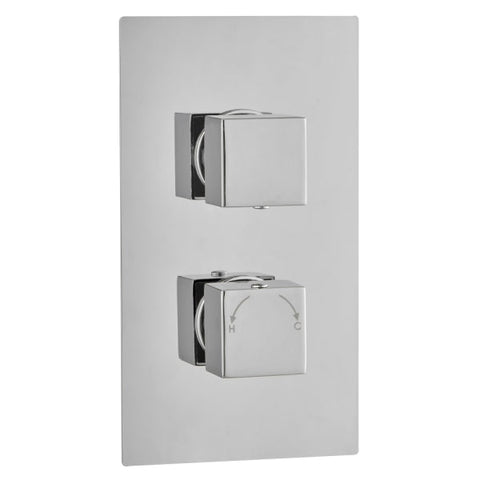 Square Concealed Thermostatic 2 Handle 2 Way Shower Valve - TIS0024